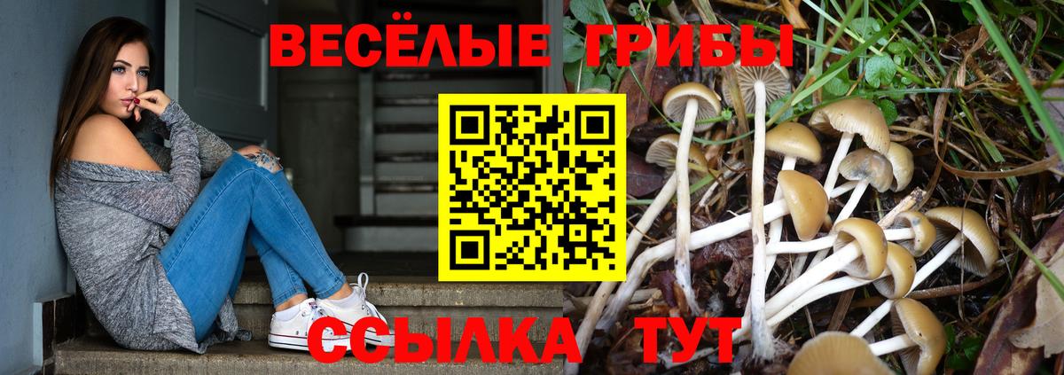 Псилоцибиновые грибы Psilocybine cubensis Борзя